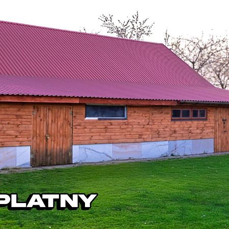 Agroturystyka Nielisz Zamosc - Kwatery Przy Skansenie Exterior foto