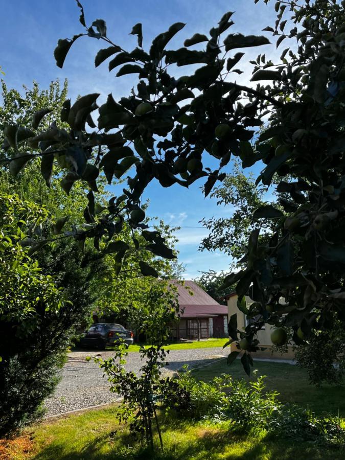 Agroturystyka Nielisz Zamosc - Kwatery Przy Skansenie Exterior foto